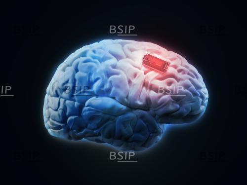 Human brain with microchip, illustration