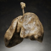 Smoker's lungs, artwork