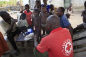 Test de dépistage du paludisme, Togo